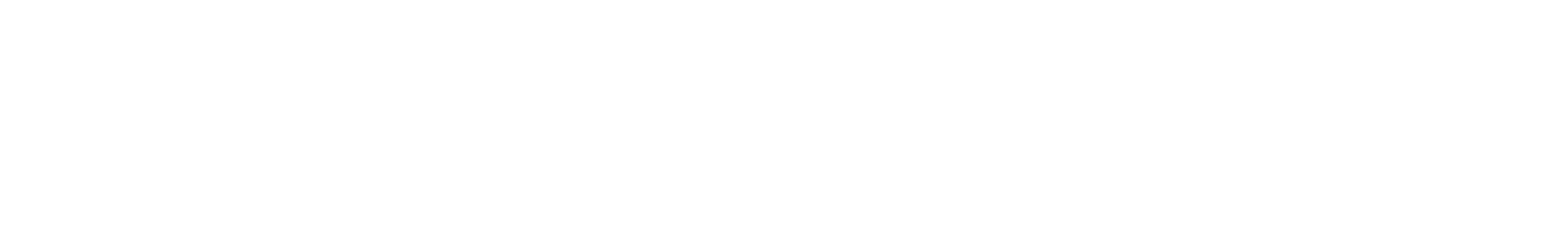 Raven Workshop